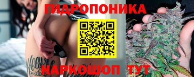 не бодяженный Владимир