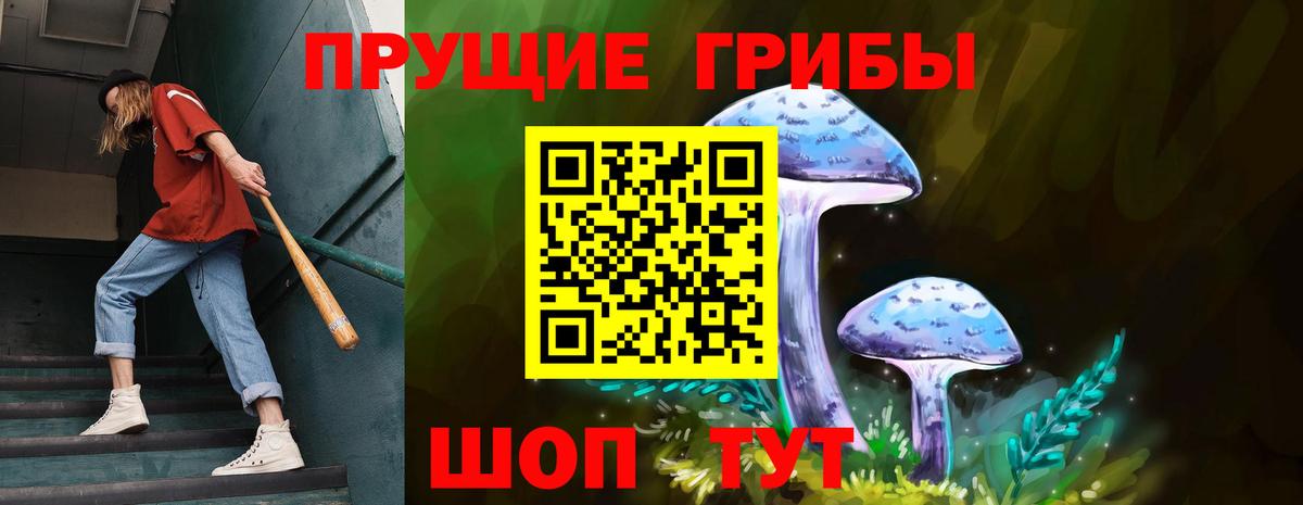Железногорск  Галлюциногенные грибы GOLDEN TEACHER  Вход с VPN 