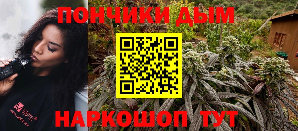 Каннабис SATIVA & INDICA Железногорск